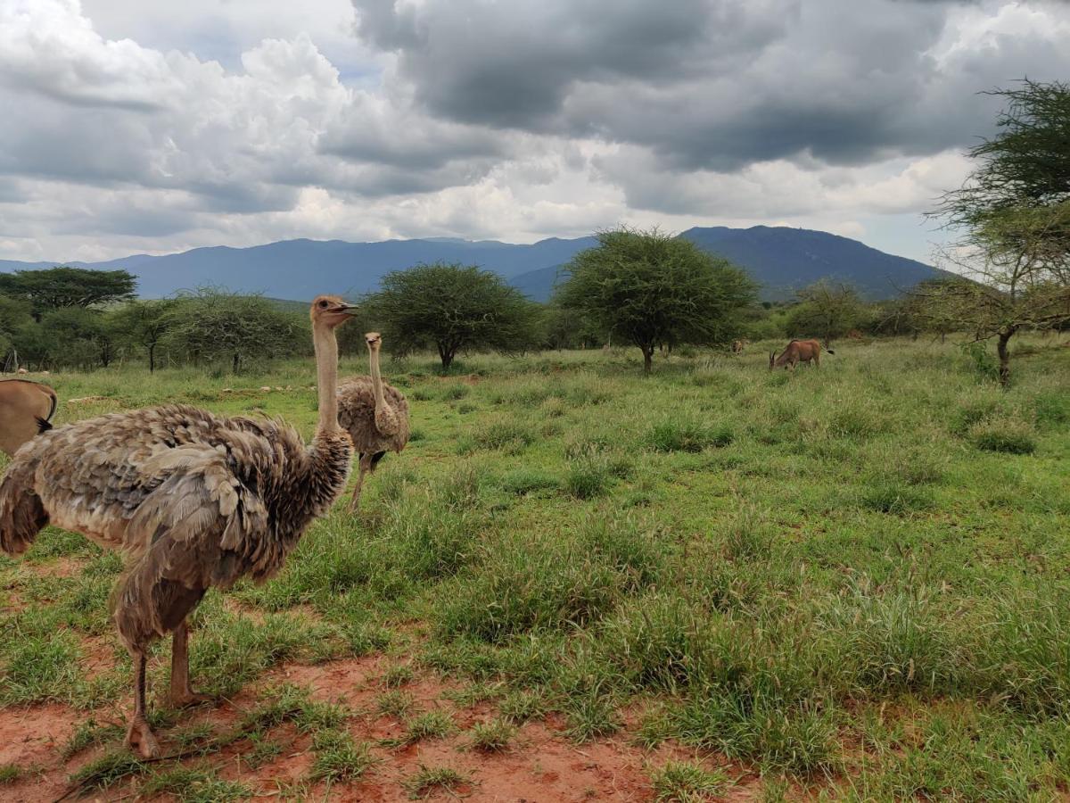 Oldonyo Orok * Kajiado