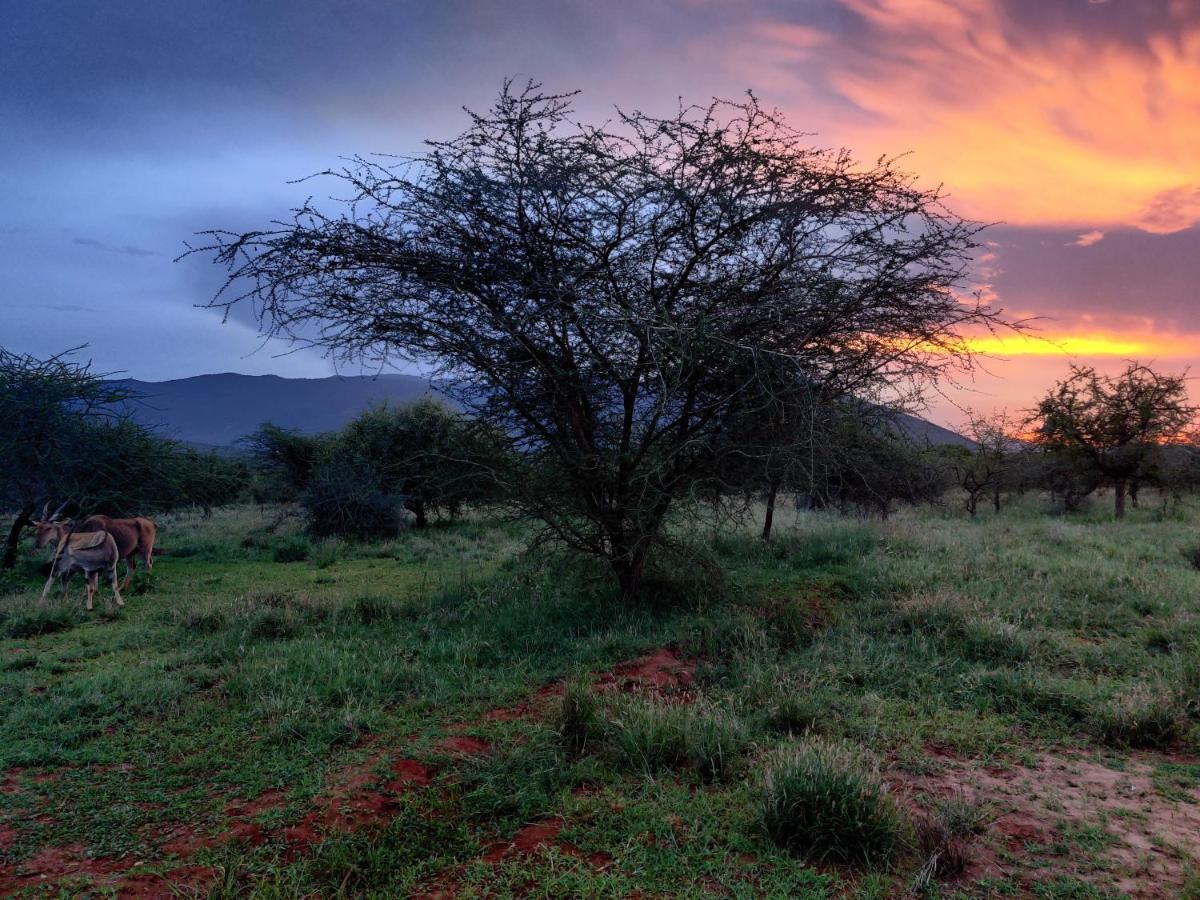 Oldonyo Orok Luxury tent Kajiado