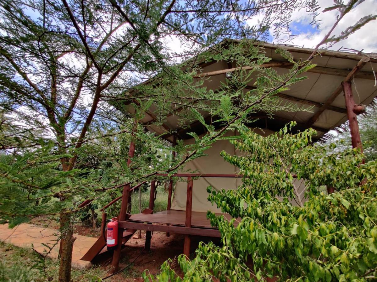 Luxury tent Oldonyo Orok